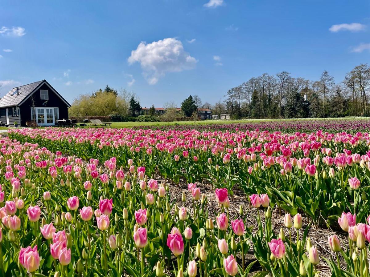 Stuga Kodawari Voorhout Exteriér fotografie